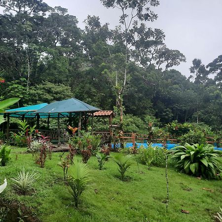 Oski Lodge, Rain Forest Rincon De La Vieja Upala Exteriér fotografie