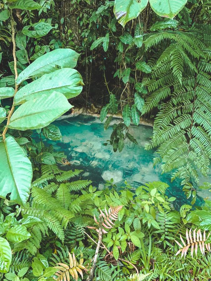 Oski Lodge, Rain Forest Rincon De La Vieja Upala Exteriér fotografie