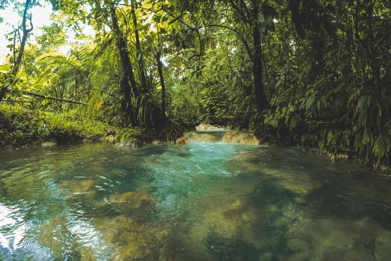 Oski Lodge, Rain Forest Rincon De La Vieja Upala Exteriér fotografie