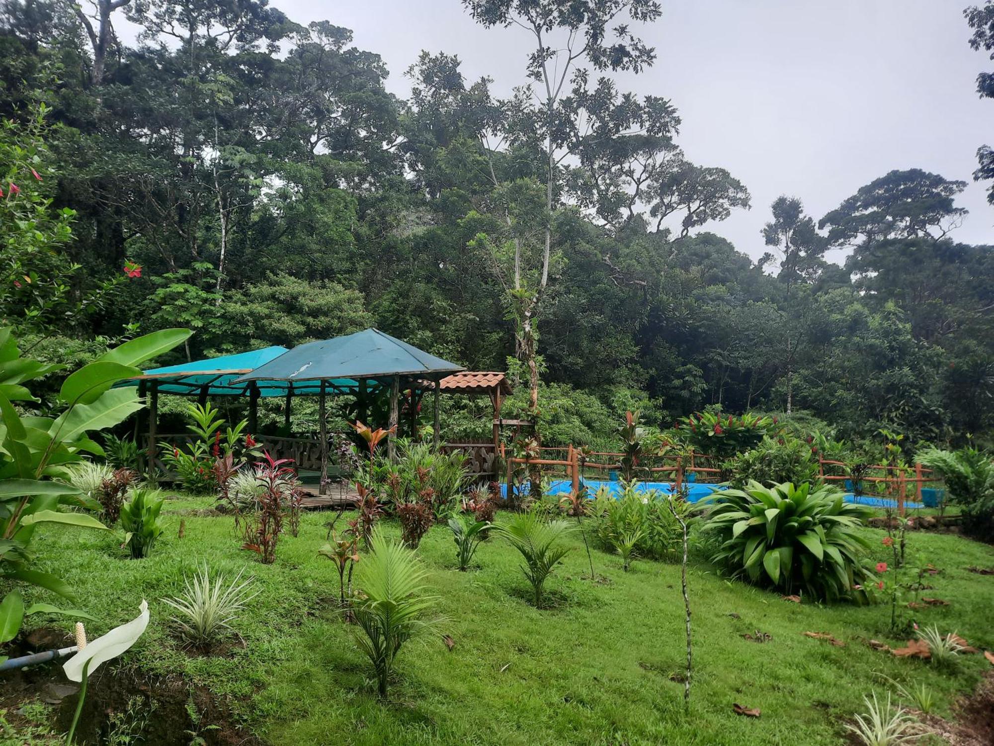 Oski Lodge, Rain Forest Rincon De La Vieja Upala Exteriér fotografie