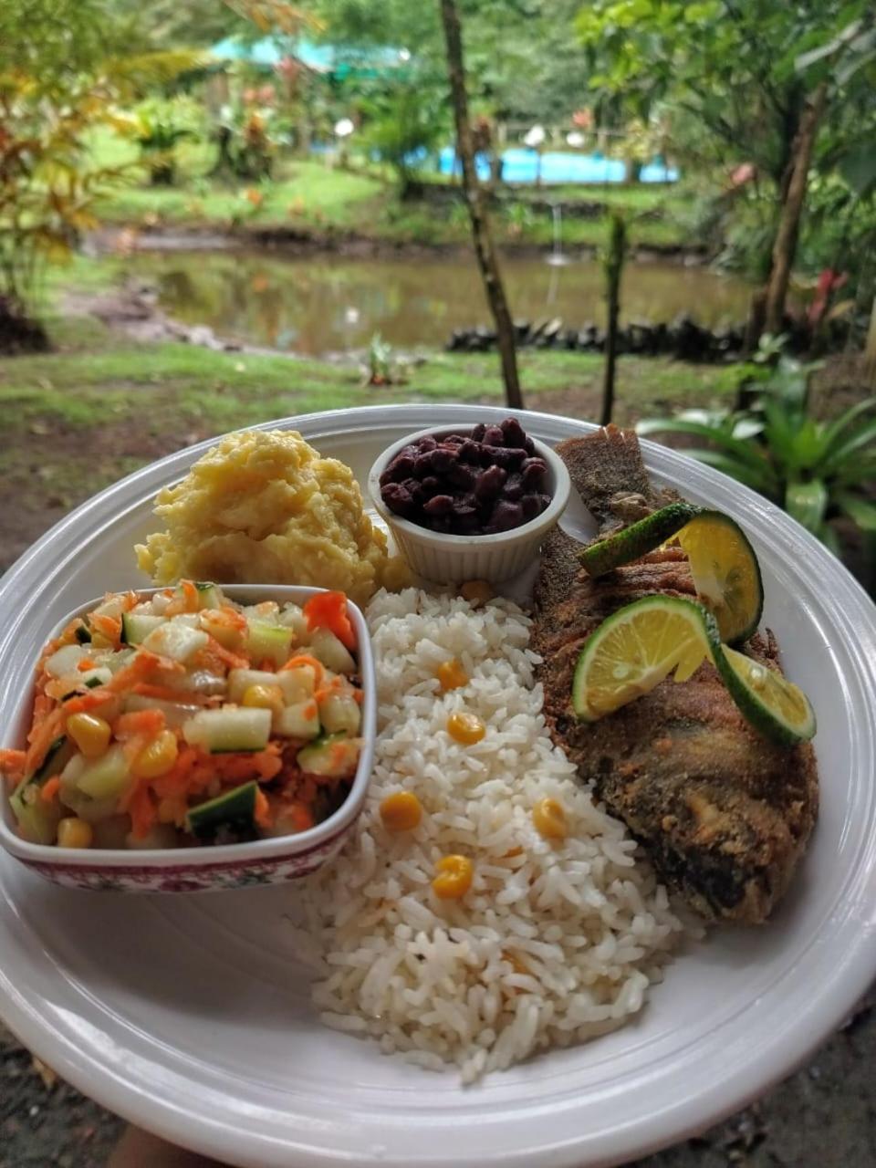 Oski Lodge, Rain Forest Rincon De La Vieja Upala Exteriér fotografie